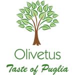 olivetus
