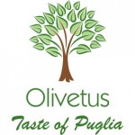 olivetus 3